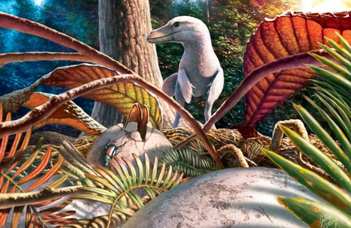 Az első magyarországi dinoszaurusz-tojás leletek