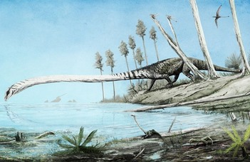 Különös hosszúnyakú dinoszaurusz leletek Villányból