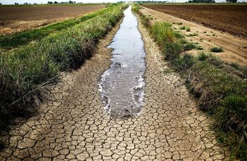 A talajnedvesség hosszú távú és súlyos mértékű csökkenése egész Európában megfigyelhető