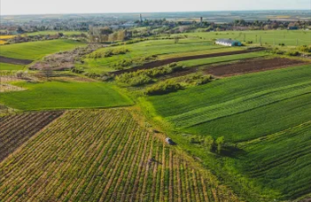 Pályázati felhívás hallgatóknak fenntartható agrárkutatásokra